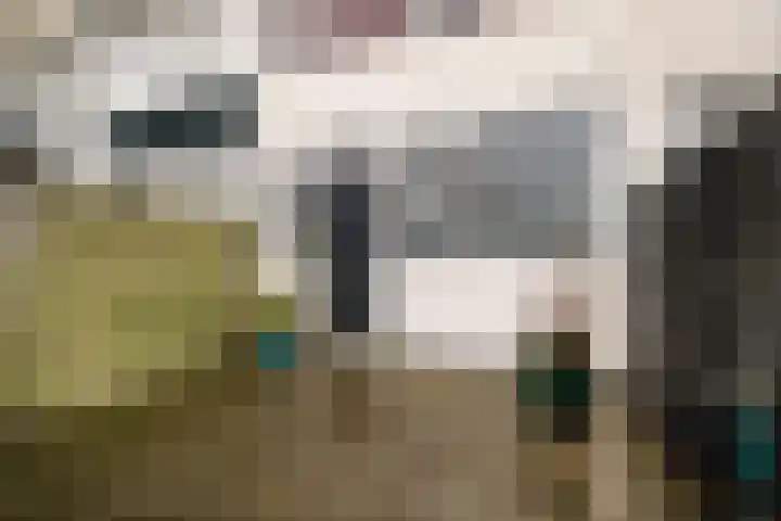 Berkenlaan 12 Harmelen thumbnail 34