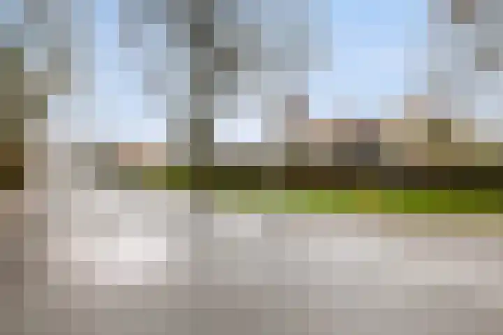 Berkenlaan 12 Harmelen thumbnail 36