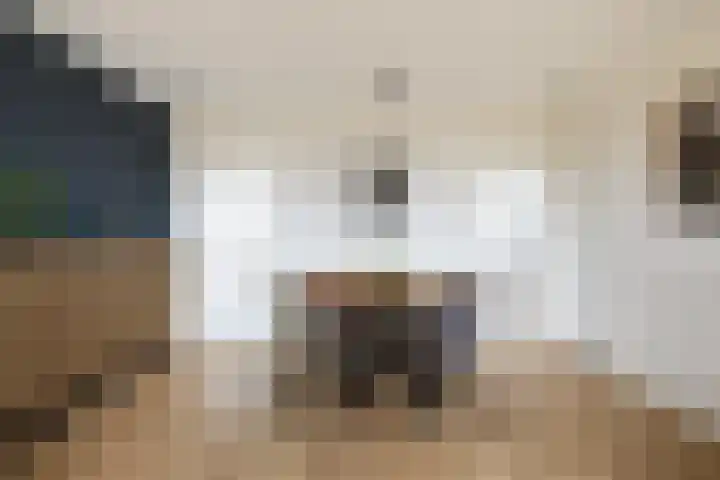 Berkenlaan 12 Harmelen thumbnail 8