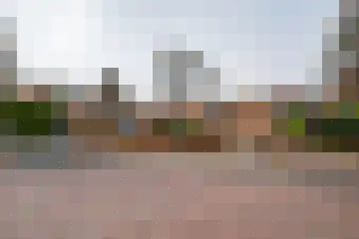 Berkenlaan 13 Emmeloord