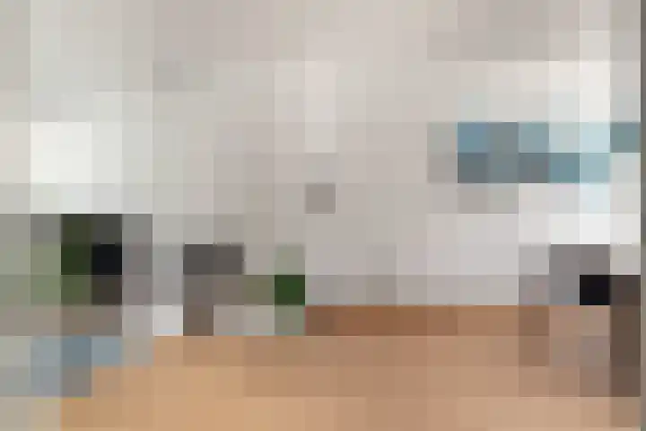 Berkenlaan 14 Beverwijk thumbnail 13