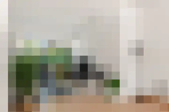 Berkenlaan 14 Beverwijk thumbnail 14
