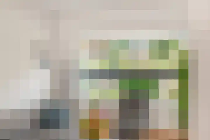 Berkenlaan 14 Beverwijk thumbnail 15