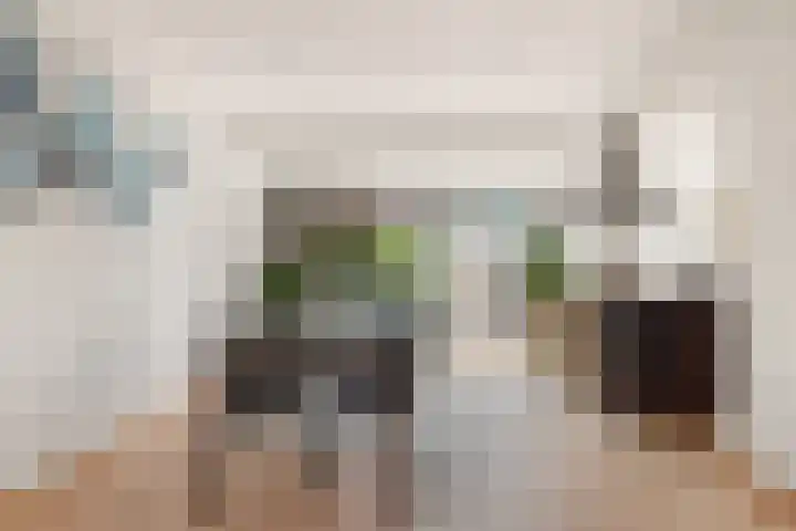 Berkenlaan 14 Beverwijk thumbnail 18