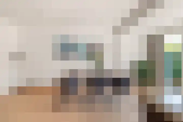 Berkenlaan 14 Beverwijk thumbnail 19