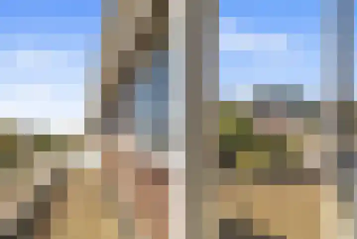 Berkenlaan 14 Beverwijk thumbnail 28