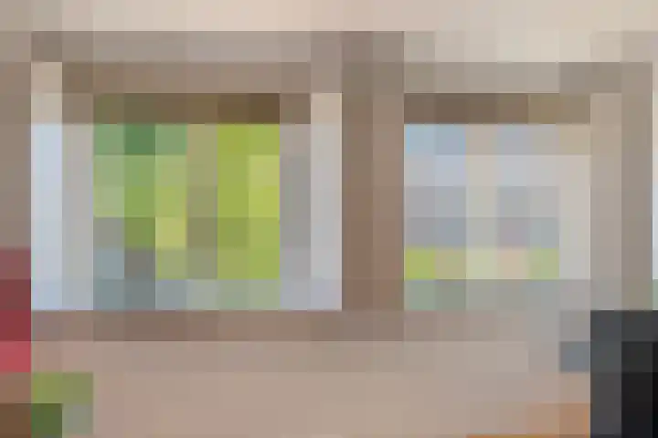Berkenlaan 14 Beverwijk thumbnail 29