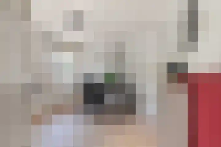 Berkenlaan 14 Beverwijk thumbnail 31