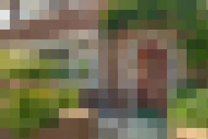 Berkenlaan 14 Beverwijk thumbnail 6