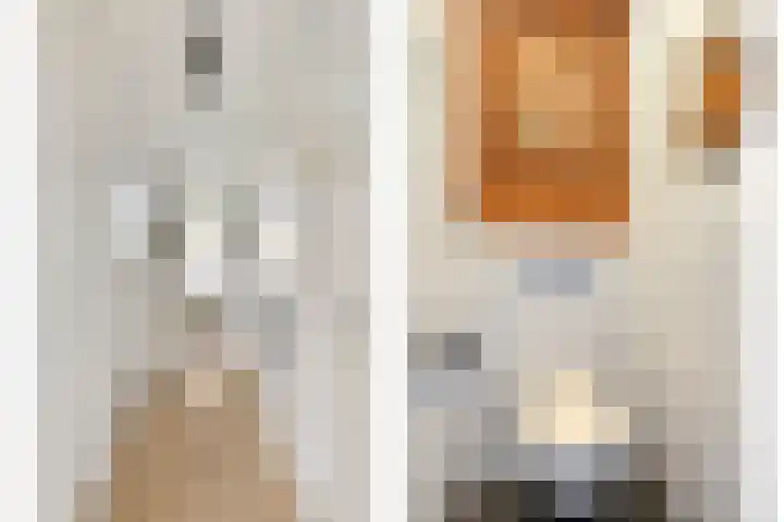 Berkenlaan 145 Zutphen thumbnail 16