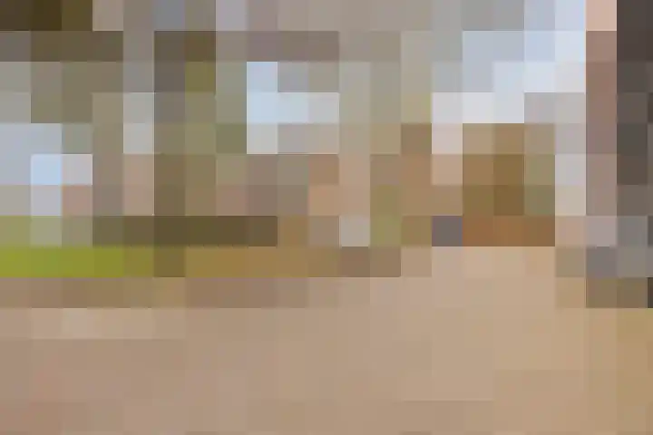 Berkenlaan 145 Zutphen thumbnail 23