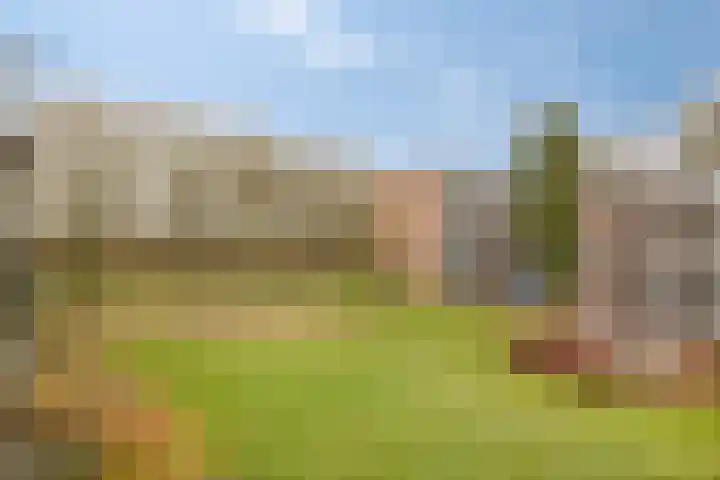 Berkenlaan 145 Zutphen thumbnail 25