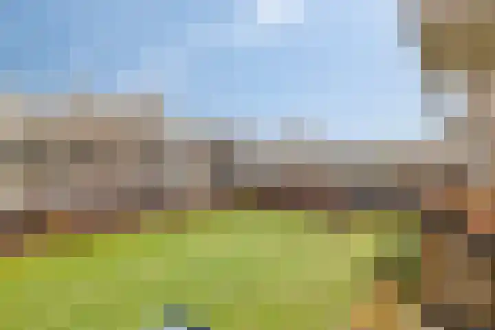 Berkenlaan 145 Zutphen thumbnail 26
