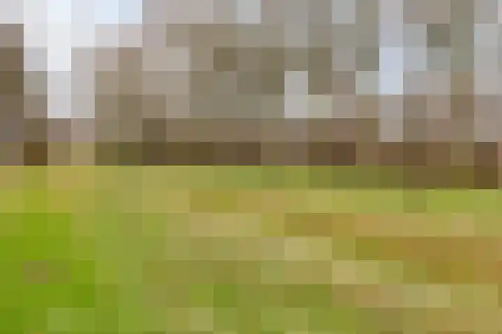 Berkenlaan 145 Zutphen thumbnail 28