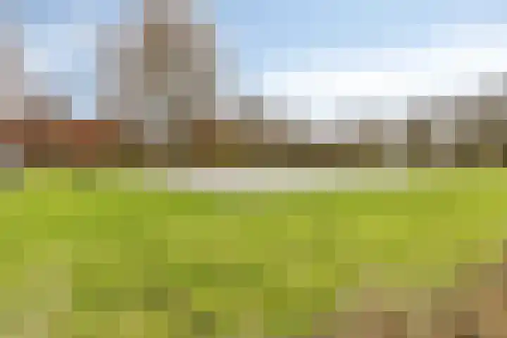 Berkenlaan 145 Zutphen thumbnail 29