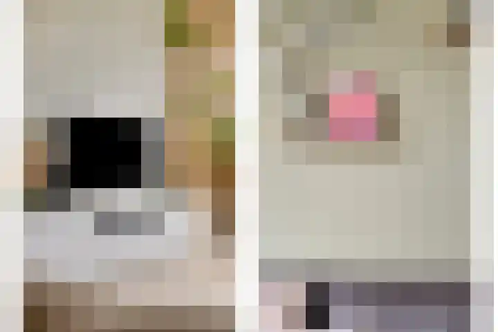 Berkenlaan 145 Zutphen thumbnail 4
