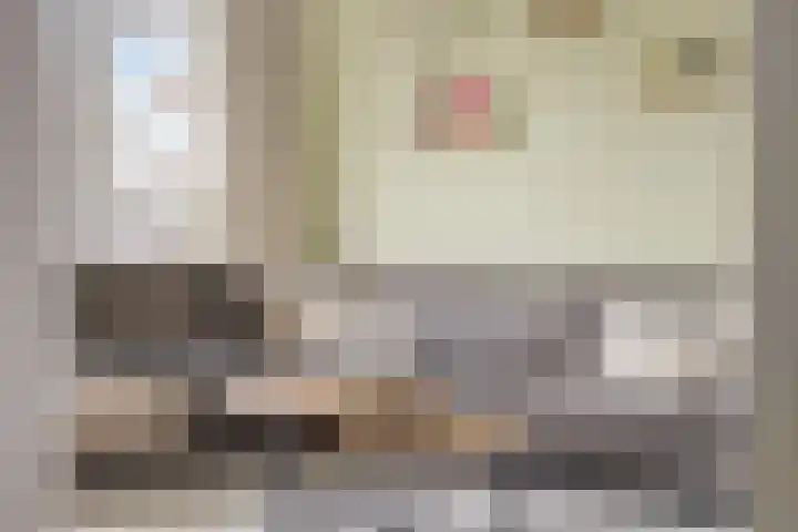 Berkenlaan 145 Zutphen thumbnail 5