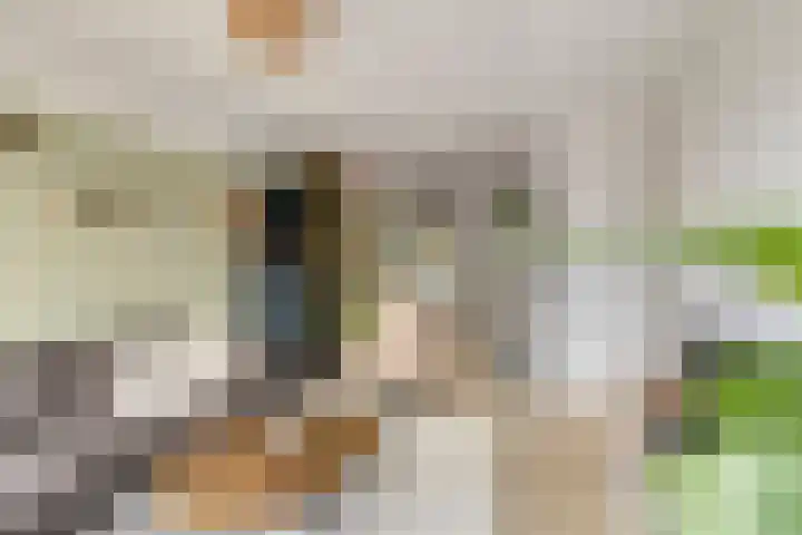Berkenlaan 145 Zutphen thumbnail 7
