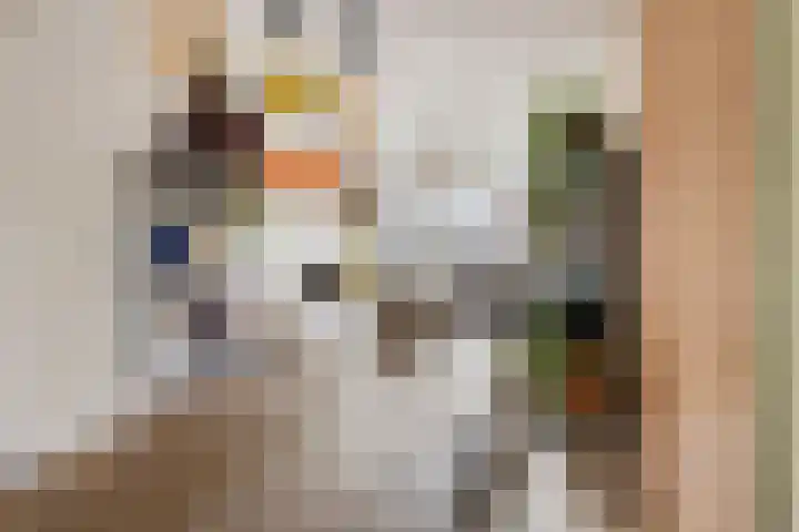 Berkenlaan 145 Zutphen thumbnail 9