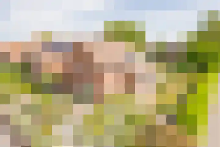 Berkenlaan 16 dans Nijkerk