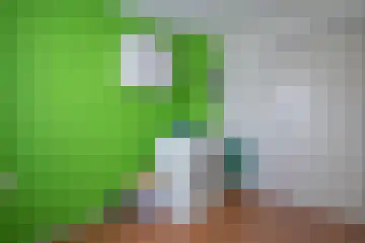 Berkenlaan 16 Neer thumbnail 18