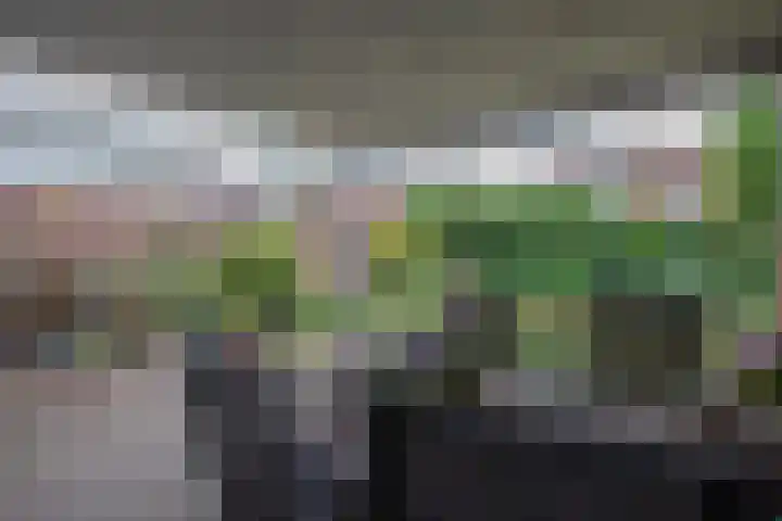 Berkenlaan 16 Neer thumbnail 20
