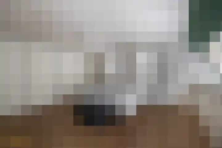 Berkenlaan 16 Velden thumbnail 18