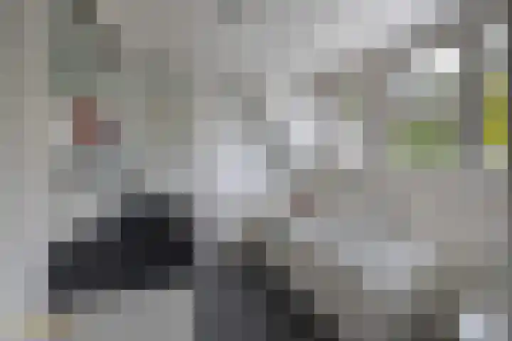 Berkenlaan 16 Velden thumbnail 20