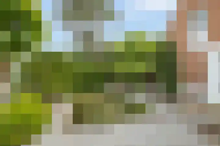 Berkenlaan 16 Velden thumbnail 30