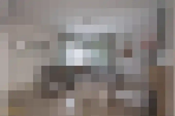 Berkenlaan 16 Velden thumbnail 5