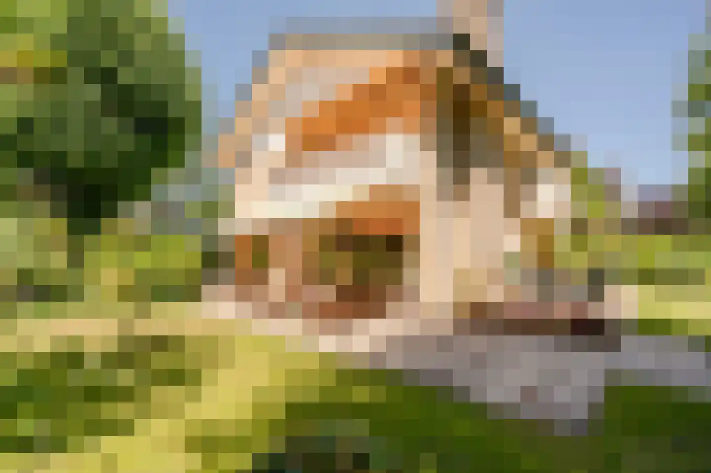 Berkenlaan 2 dans Wassenaar