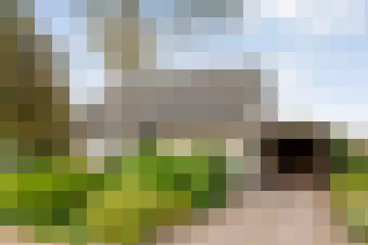 Berkenlaan 2 Hardenberg