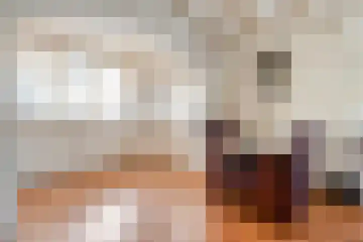 Berkenlaan 2 Hardenberg thumbnail 12