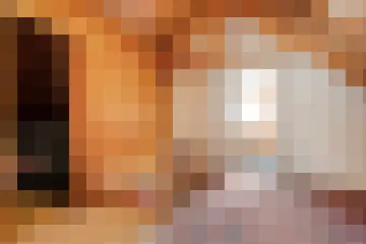 Berkenlaan 2 Hardenberg thumbnail 20