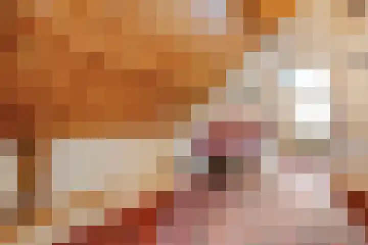Berkenlaan 2 Hardenberg thumbnail 21