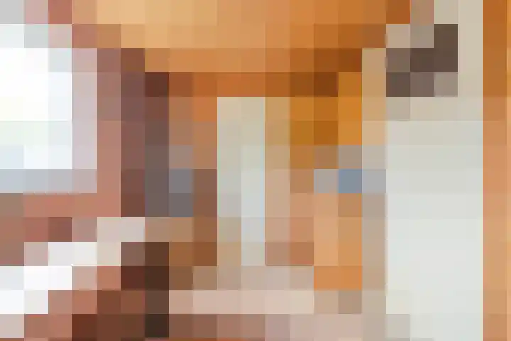 Berkenlaan 2 Hardenberg thumbnail 25