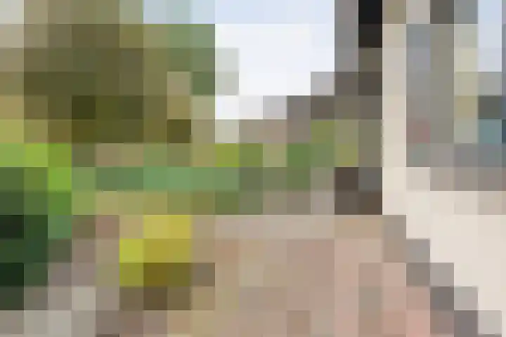 Berkenlaan 2 Hardenberg thumbnail 26