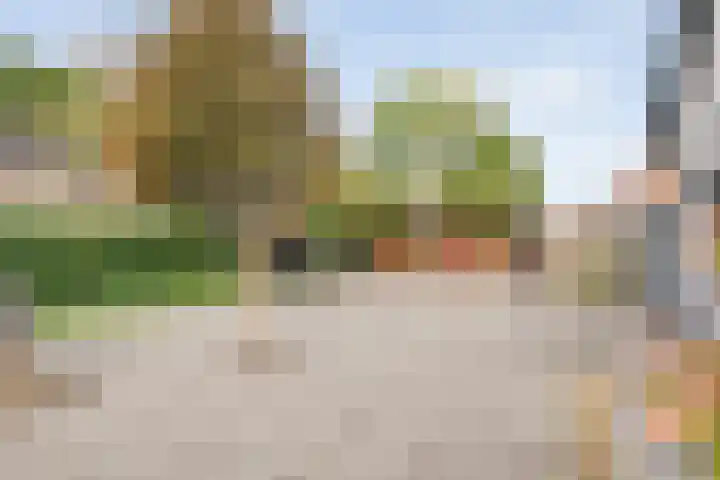 Berkenlaan 2 Hardenberg thumbnail 28