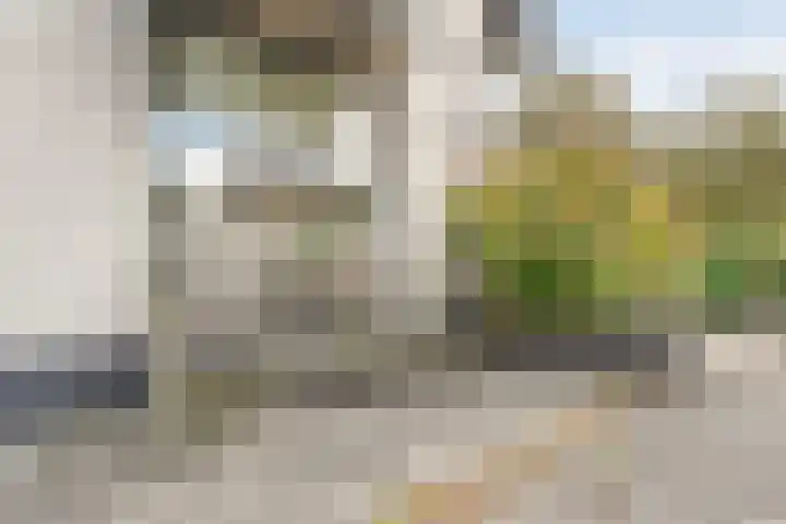 Berkenlaan 2 Hardenberg thumbnail 29