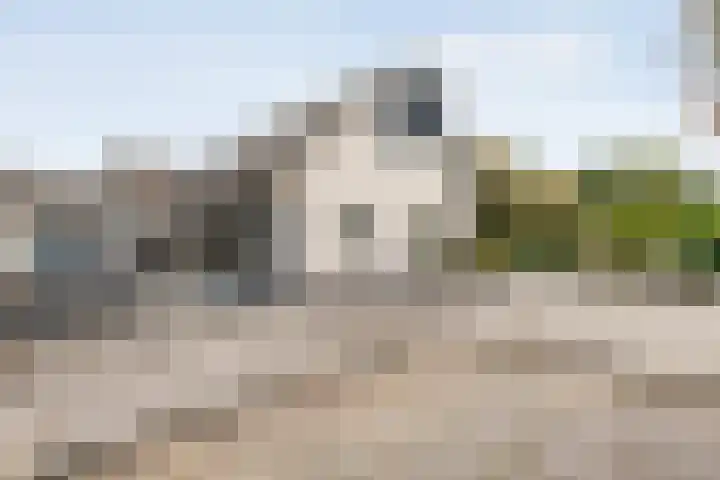 Berkenlaan 2 Hardenberg thumbnail 30