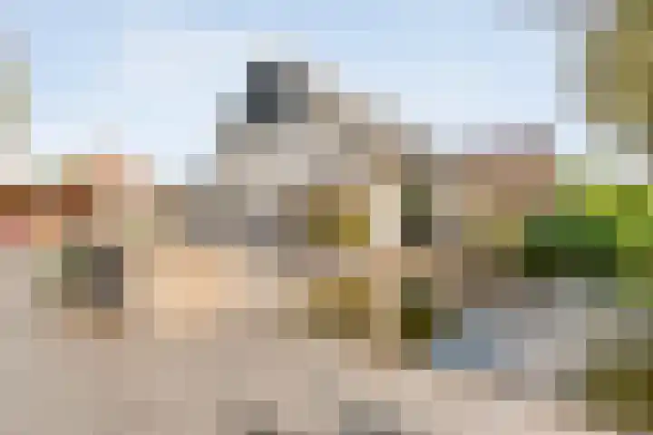 Berkenlaan 2 Hardenberg thumbnail 33