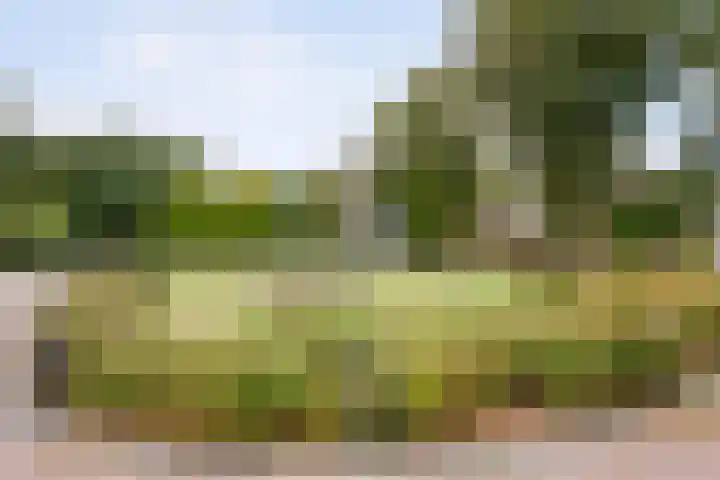 Berkenlaan 2 Hardenberg thumbnail 39