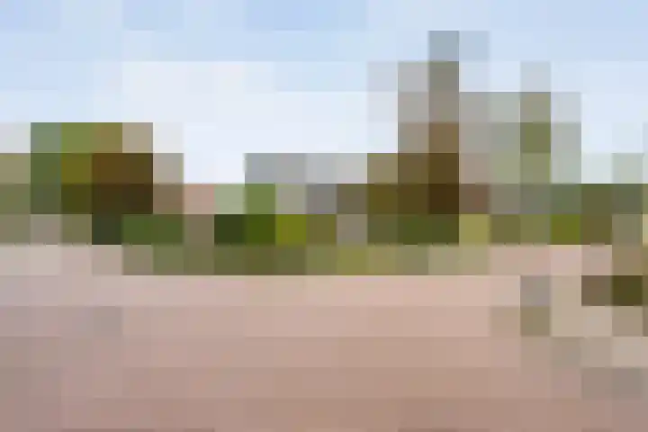 Berkenlaan 2 Hardenberg thumbnail 4