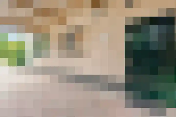 Berkenlaan 2 Hardenberg thumbnail 6