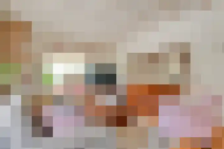 Berkenlaan 2 Hardenberg thumbnail 9