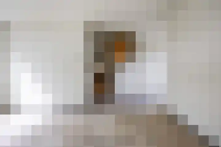 Berkenlaan 2 Marum thumbnail 11