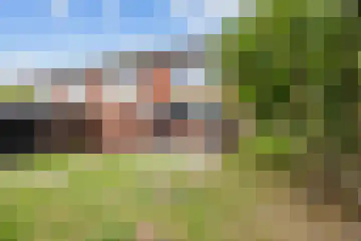 Berkenlaan 2 Marum thumbnail 33