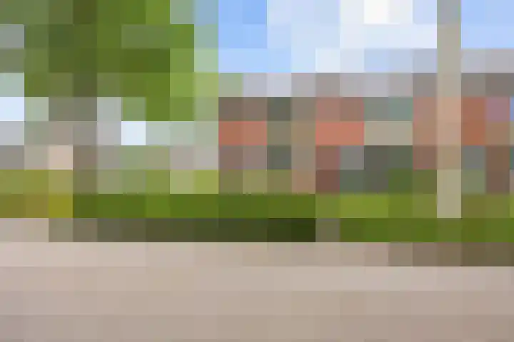 Berkenlaan 2 Marum thumbnail 4