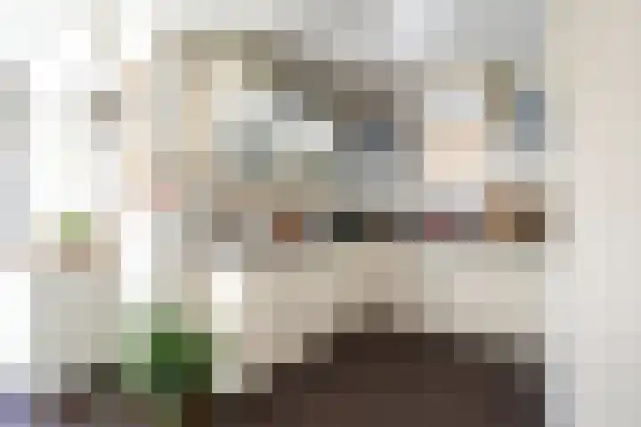 Berkenlaan 20 Geleen thumbnail 10