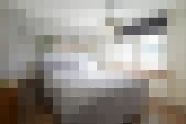 Berkenlaan 20 Geleen thumbnail 17